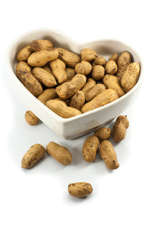 Peanut dry fruit or groundnut  Arachis hypogaea  beans