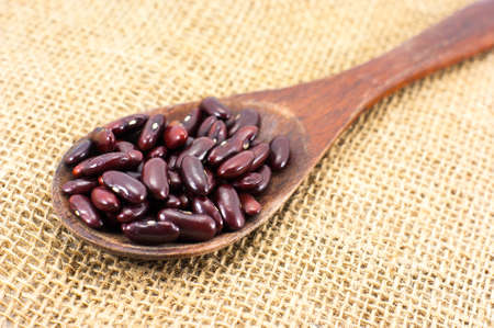 Dried red beans on a wooden spoon with a shallow depth of field