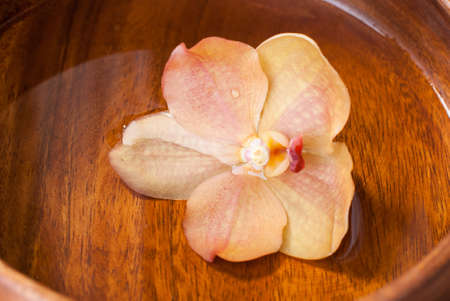 vanda orchid in wooden bowlの写真素材