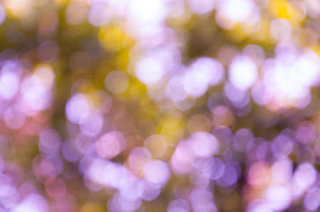 bokeh light の写真素材