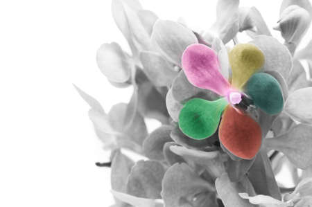 The power of colorの写真素材