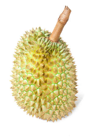 Durian fruit isolated white backgroundの写真素材