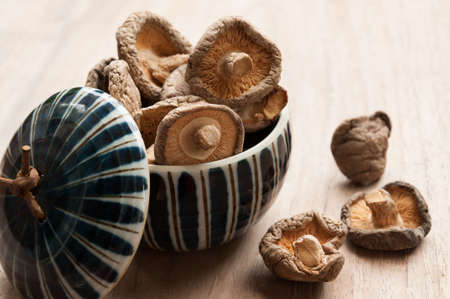 Dry Mushrooms isolated on white background. Selective focusの写真素材