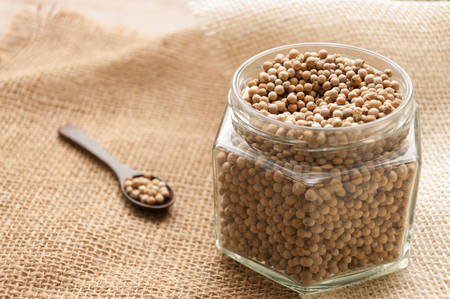 Peppercornの写真素材