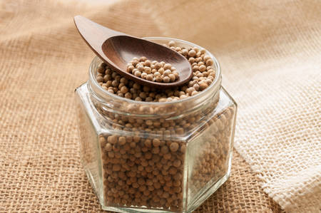 Peppercornの写真素材