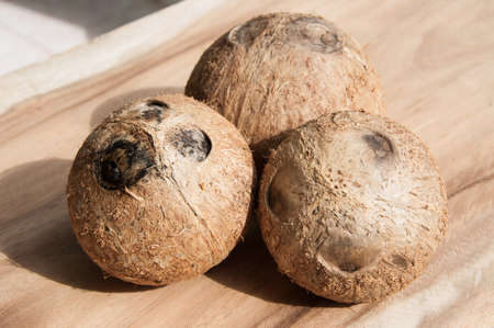 coconut shell