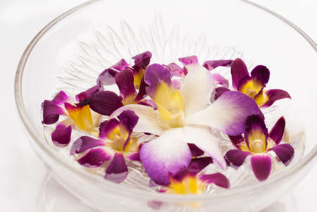 Orchid flower floating in water in a glass bowlの写真素材