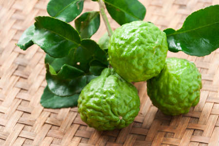Kaffir lime