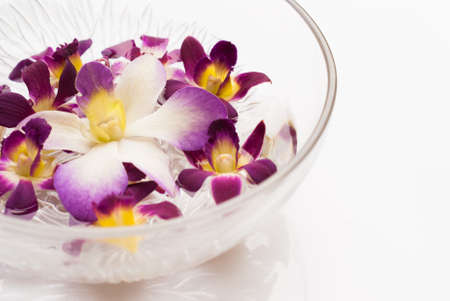 Orchid flower floating in water in a glass bowlの写真素材