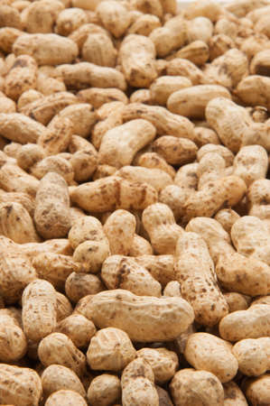 Peanuts In Shellsの写真素材