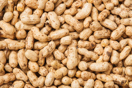 Peanuts In Shellsの写真素材
