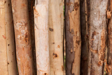 Weathered wooden logs with natural pattern grunge backgroundの写真素材