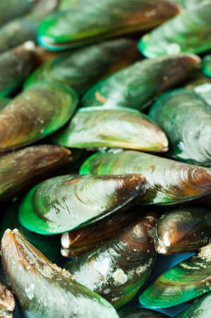 Asian green mussel was displayed and sale in Thailand street market