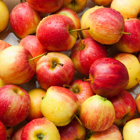 Red applesの写真素材