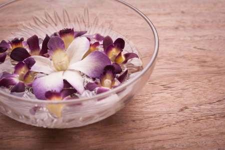 Orchid flower floating in water in a glass bowlの写真素材