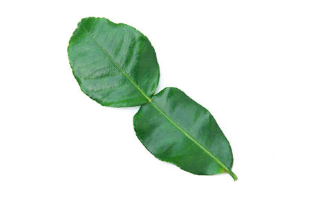 Kaffir lime leaf isolated on white background