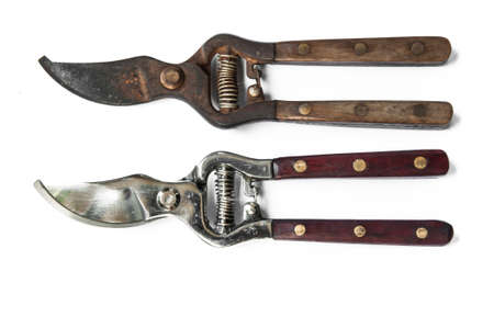 pruning shearの写真素材