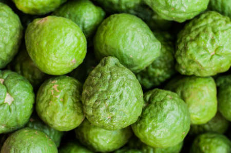 Kaffir limeの写真素材