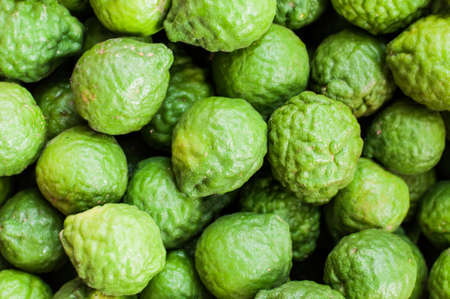 Kaffir limeの写真素材