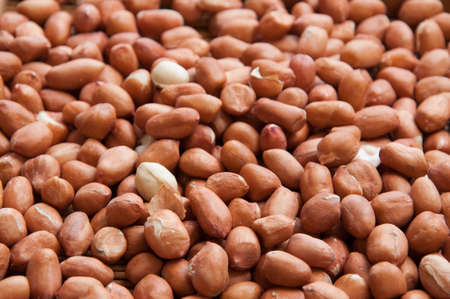 Shelled peanuts or peanut halves
