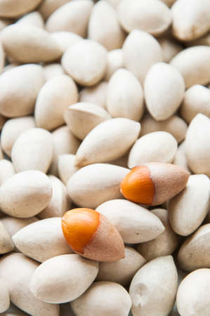 Ginkgo biloba seed in Thai food market, Ginkgo seeds backgroundの写真素材