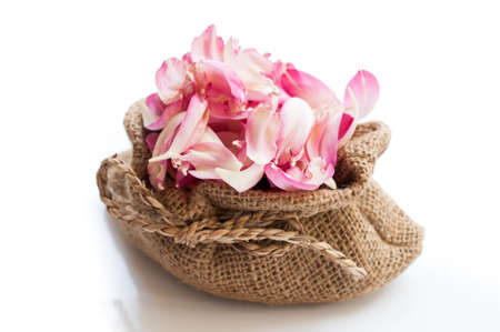 Pink lotus petalsの写真素材