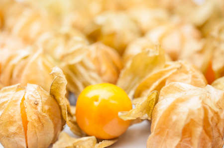 Cape gooseberry (physalis)の写真素材