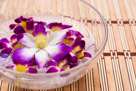 Orchid flower floating in water in a glass bowlの写真素材