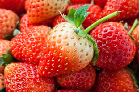 Fresh ripe perfect strawberry - Food Frame Backgroundの写真素材
