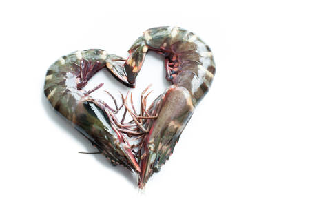 Raw Tiger prawn ready for cookingの写真素材