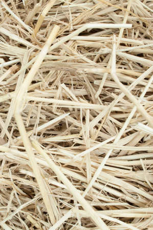 Macro texture of straw collected in a haystack in summer sunlight