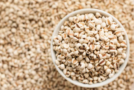 Seeds of Job's tear, Coixseed with soy bean and Groundnuts