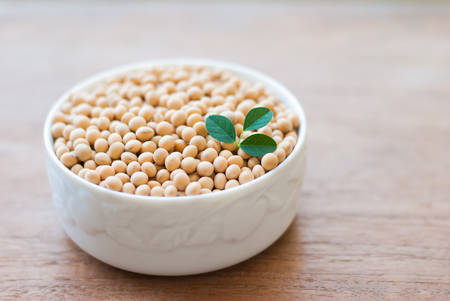 soy bean on white wooden backgroundの写真素材