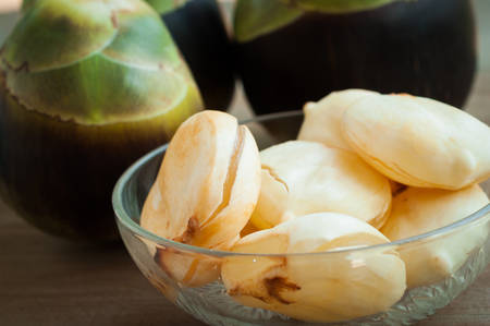 Asian Palmyra palm, Toddy palm, Sugar palm isolated on white background.の写真素材