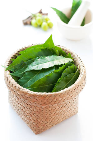 Mortar and pestle with medicinal neem leaves over white の写真素材