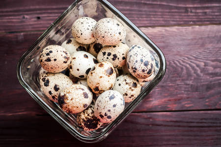 quail eggsの写真素材
