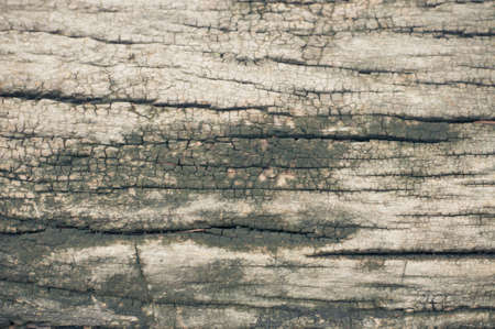Wooden textureの写真素材