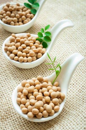 Soy podsの写真素材