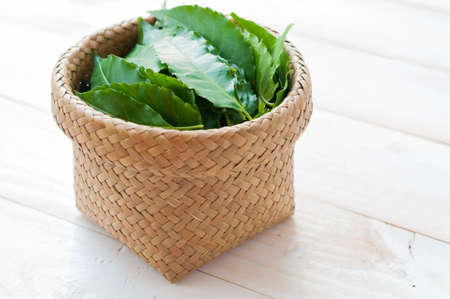 Mortar and pestle with medicinal neem leaves over white backgroundの写真素材