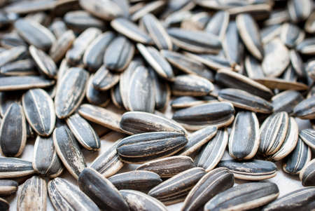 organic sunflower seed for background usesの写真素材