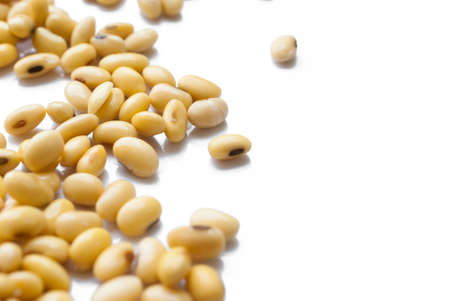 soy beans on white background.の写真素材