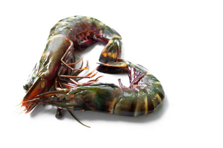 Raw Tiger prawn ready for cookingの写真素材