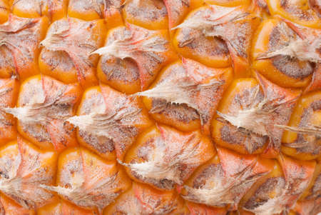 Detail pineapple close-upの写真素材