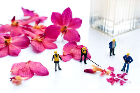 alchemy and aromatherapy set with orchid flowers and miniature peopleの写真素材