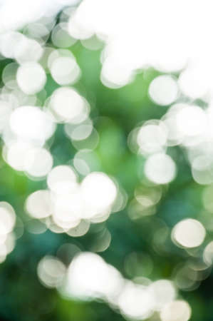 Natural green blurred background.の写真素材