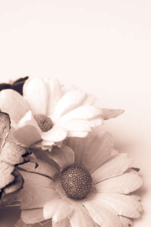 Paper flower background with space for textの写真素材