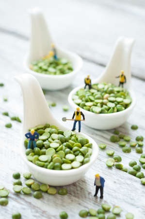 Miniature Construction Workers in Conceptual Food Imagery With Split green pea.