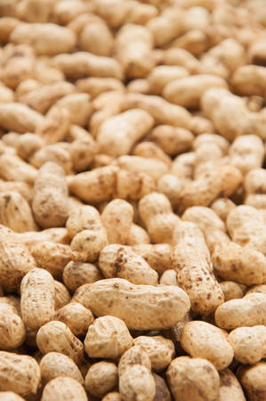 Peanuts In Shells