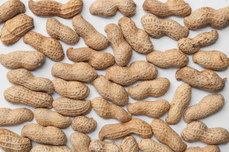 Peanuts in shells on white boardの写真素材