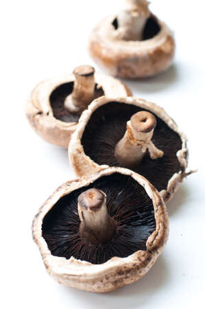 Portobello mushroom isolated on the white background.の写真素材